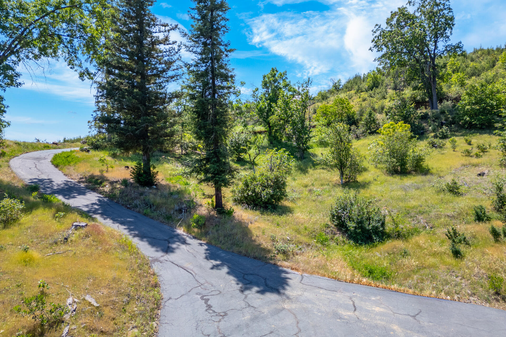 15691 Old Stage Coach Road Redding, CA 96001 - Photo 14 of 27 a view of a swimming pool with a yard