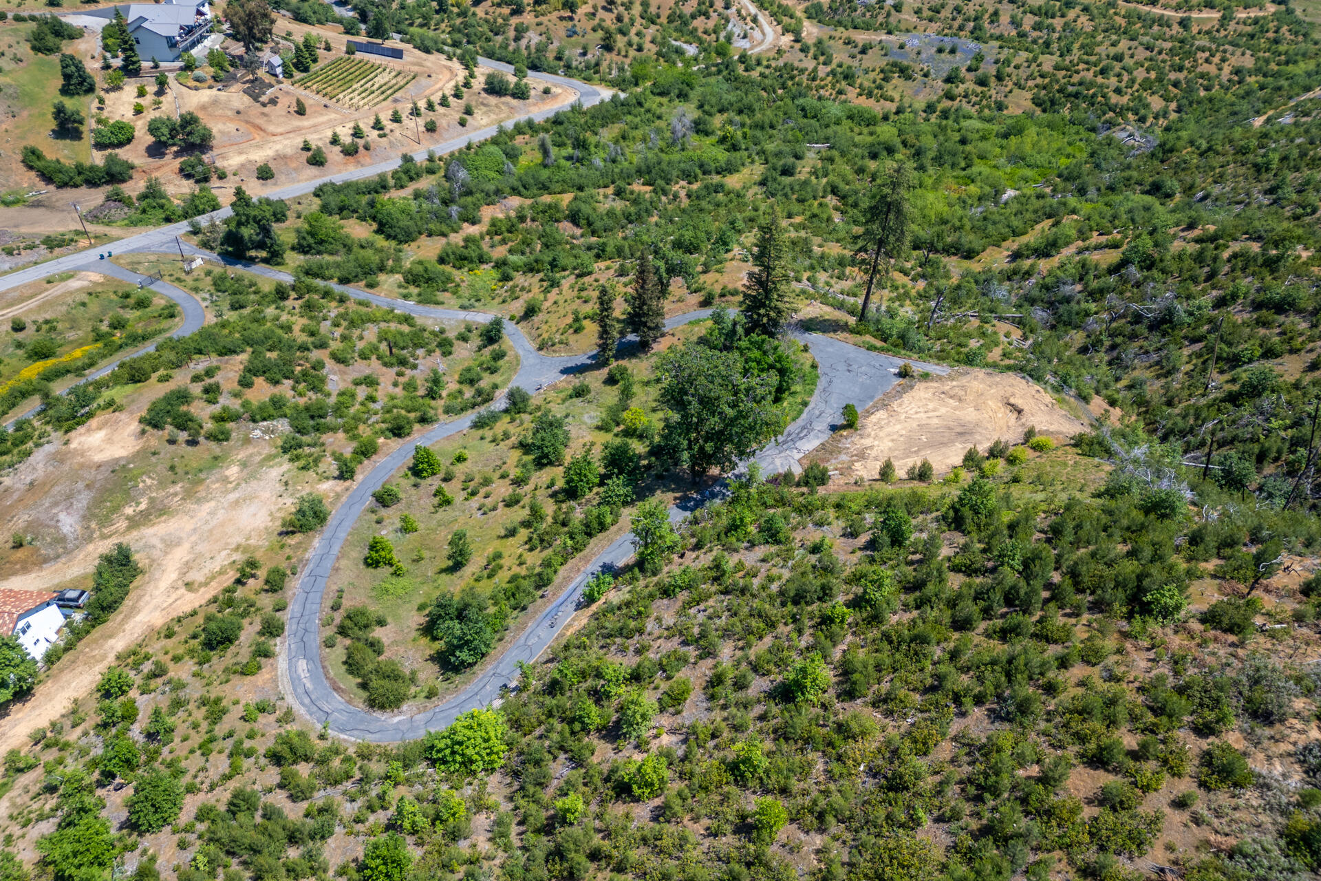 15691 Old Stage Coach Road Redding, CA 96001 - Photo 20 of 27 view of a forest with a houses