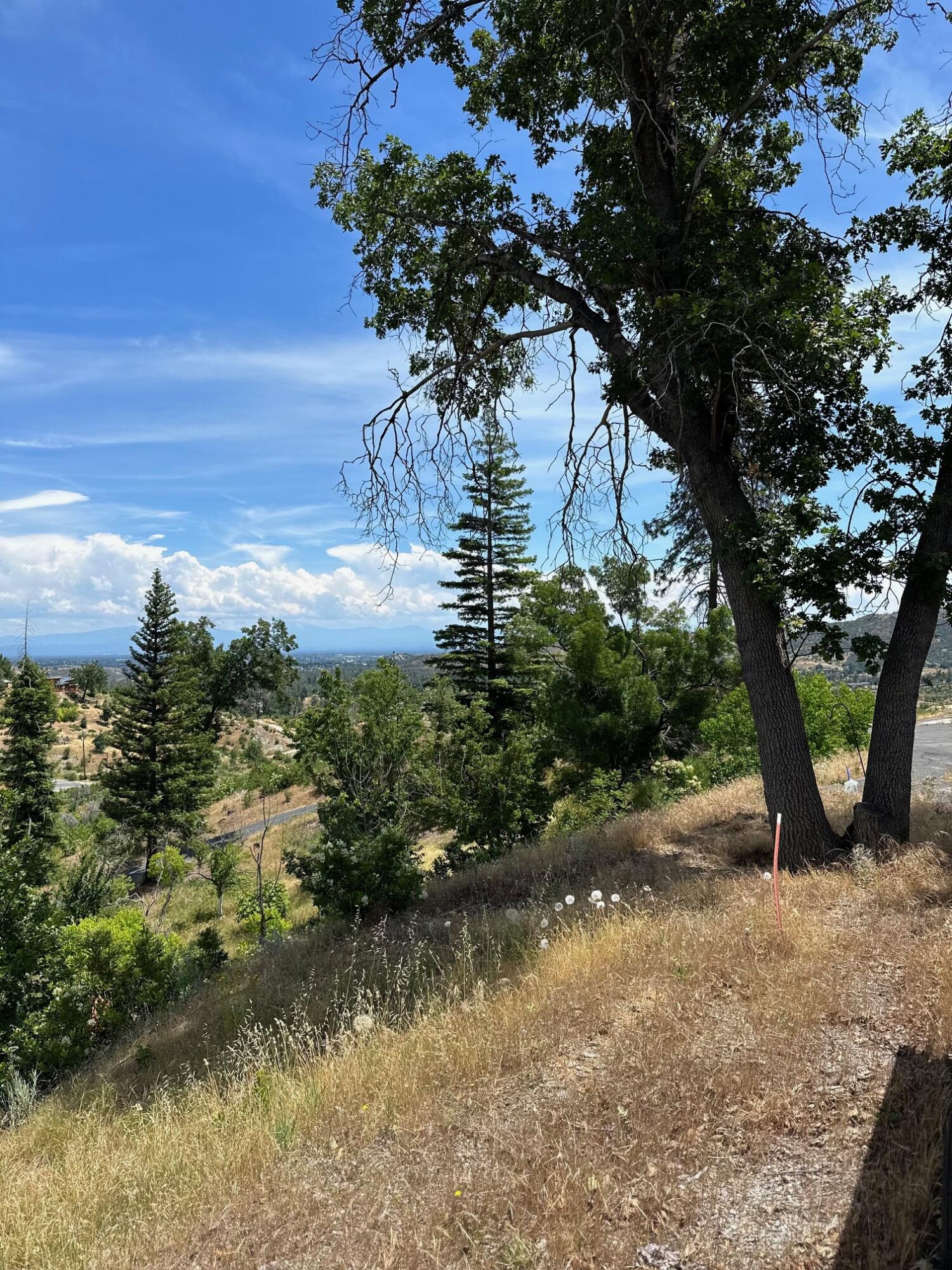 15691 Old Stage Coach Road Redding, CA 96001 - Photo 27 of 27 a view of a tree with a yard