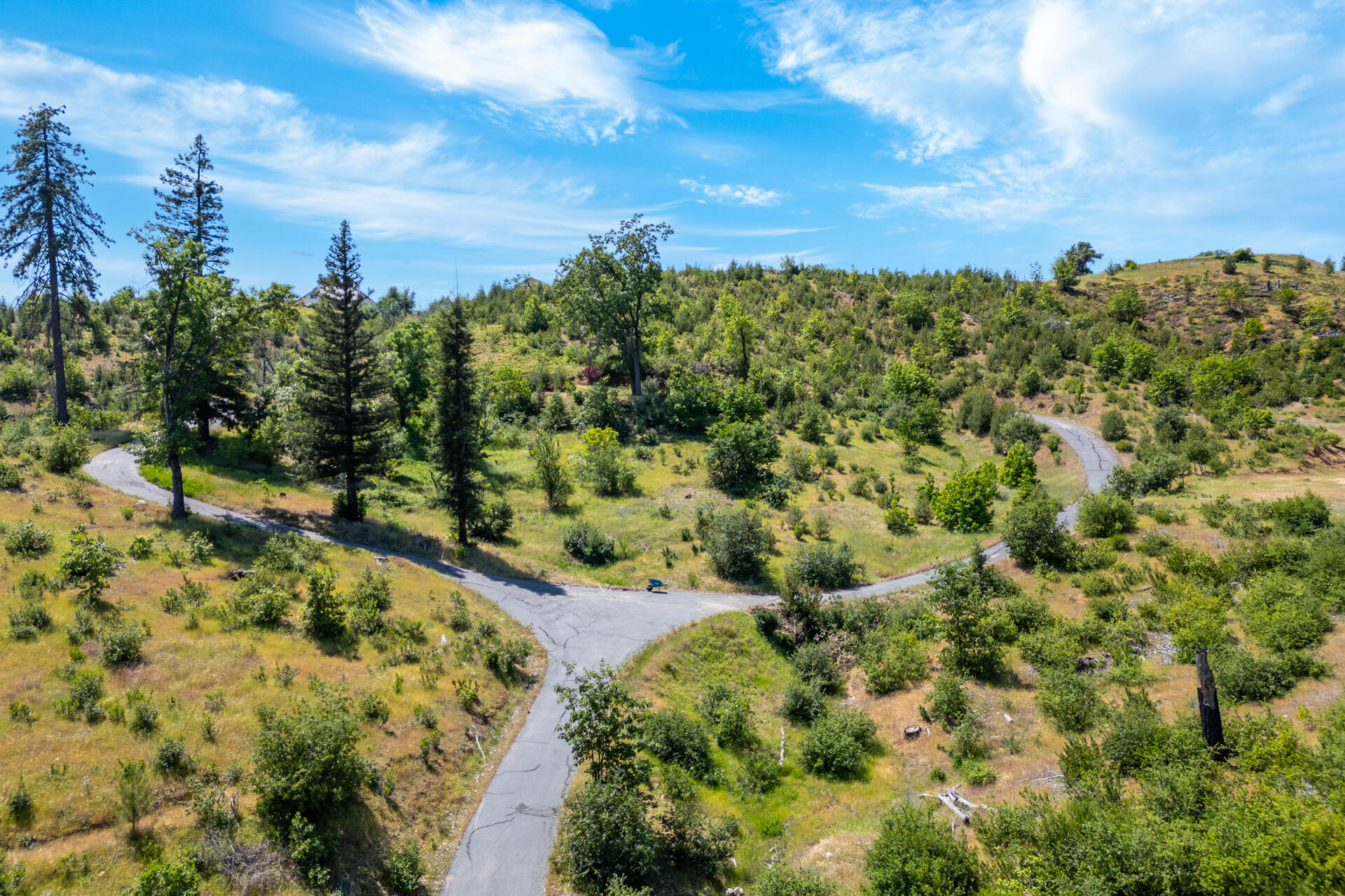 15691 Old Stage Coach Road Redding, CA 96001 - Photo 5 of 27 a view of a bunch of trees and houses