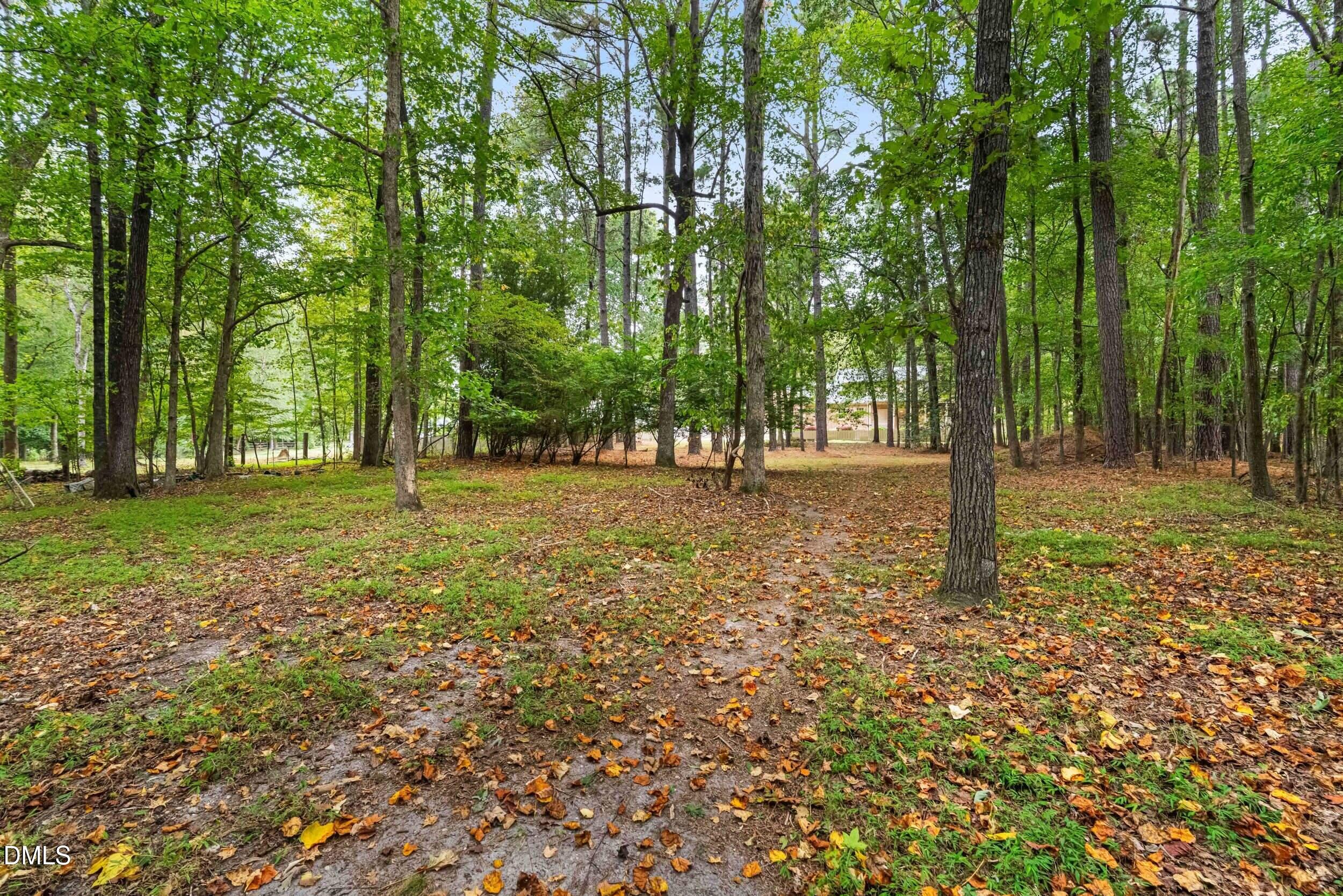 1015 Mulberry Road Clayton, NC 27520 - Photo 35 of 38 Backyard
