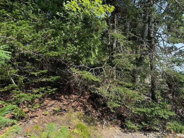 Lot C Long Point Road Harpswell, ME 04079 - Photo 10 of 36 unnamed-4