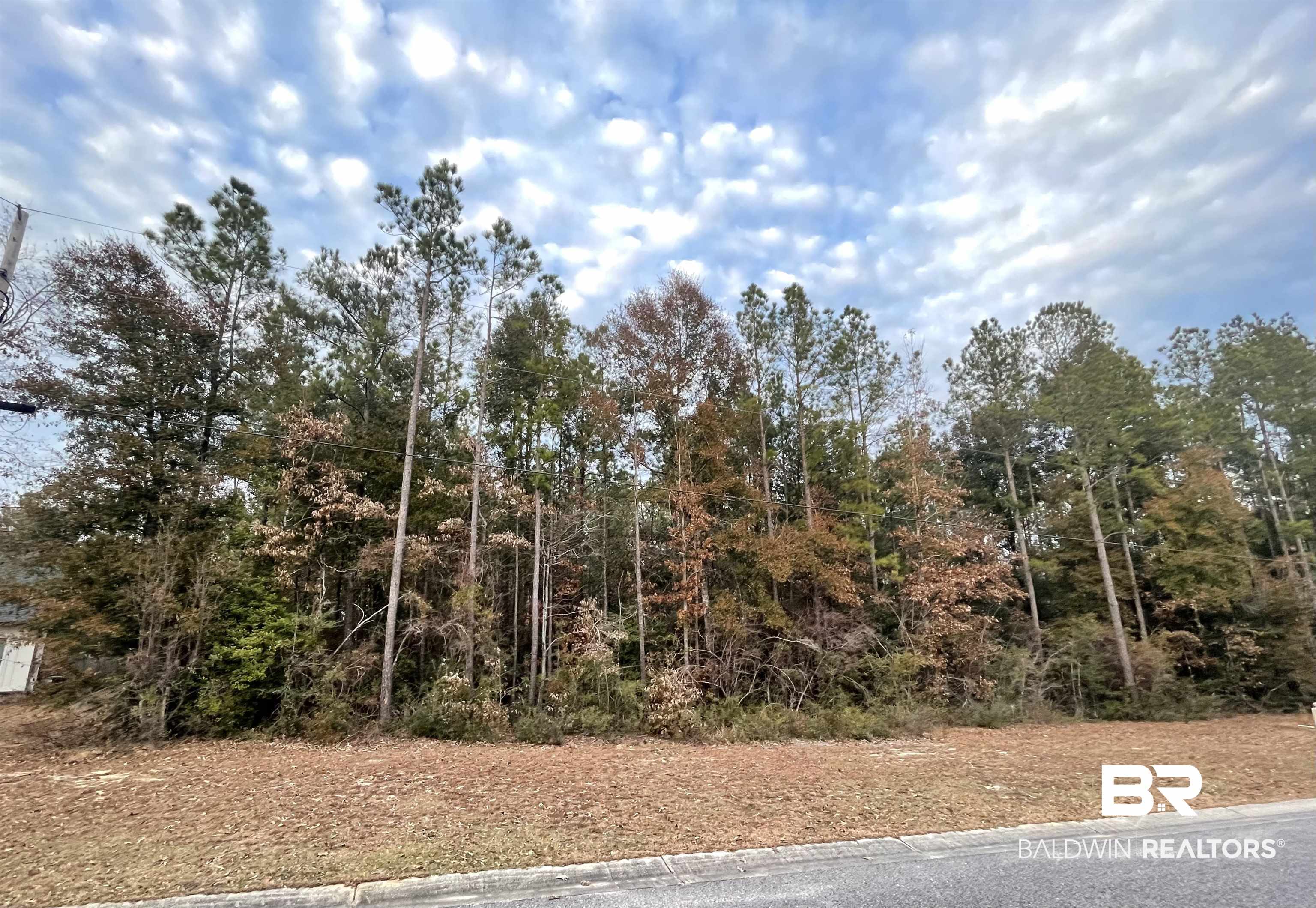 14850 Cayden Circle Stapleton, AL 36578 - Photo 1 of 3 View of nature
