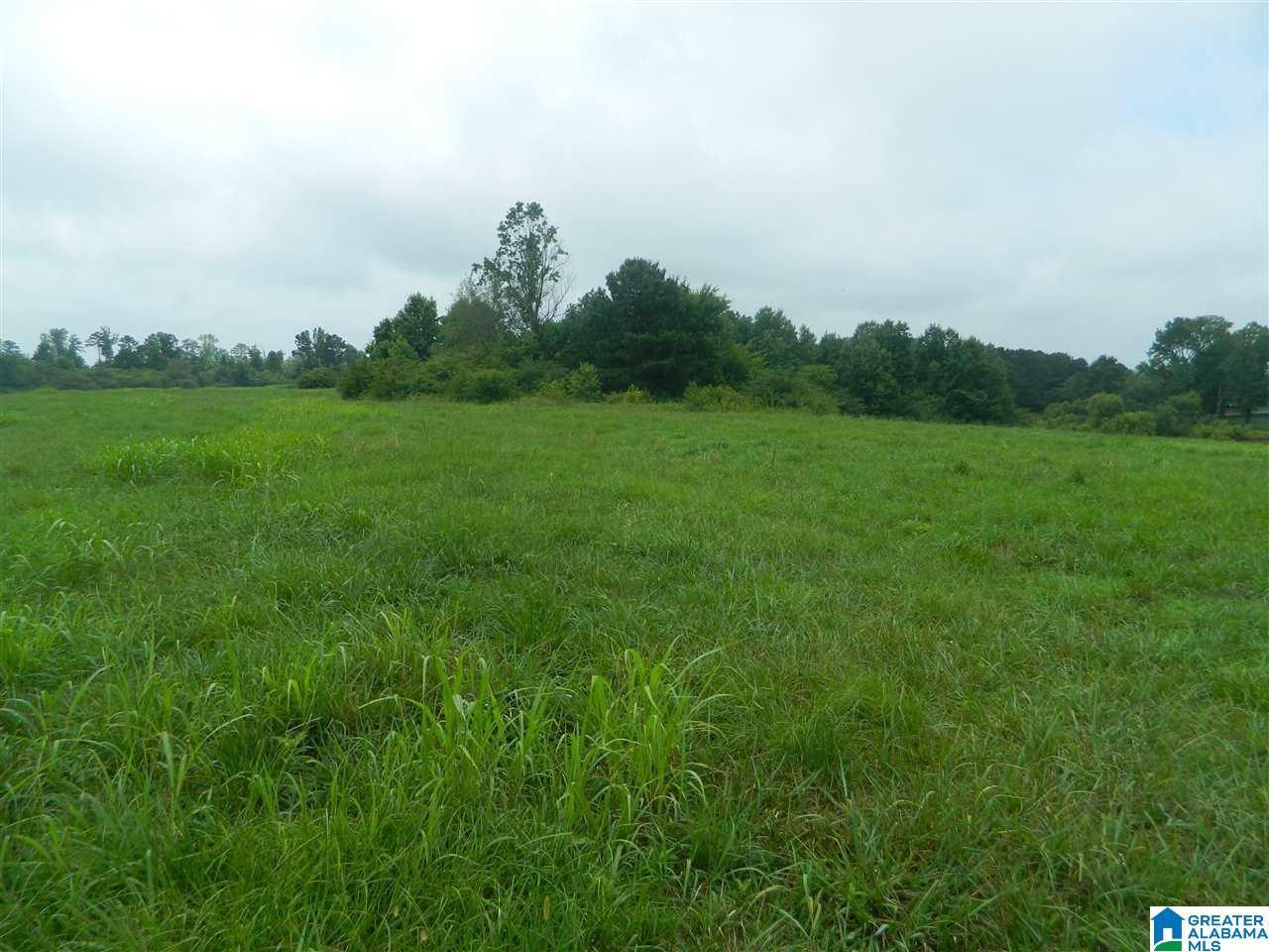 0 County Road 76 Cullman, AL 35057 - Photo 10 of 14