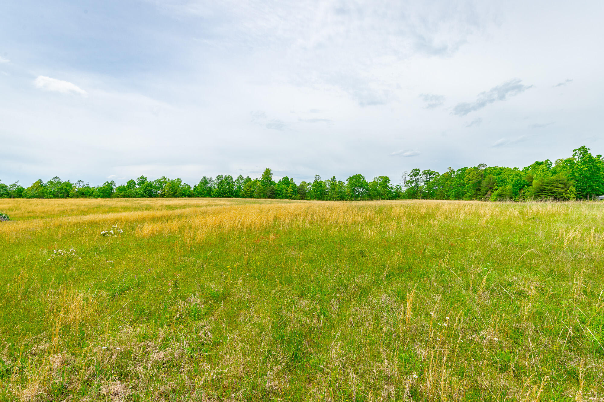 0 Ray Gadd Road Graysville, TN 37338 - Photo 56 of 109 Ray Gadd Road Lot HD-48