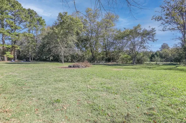 a view of a green field with trees