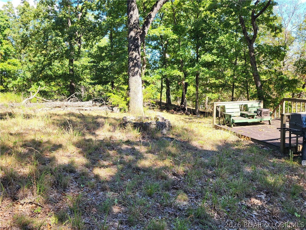 32534 Compromise Road Gravois Mills, MO 65037 - Photo 4 of 12