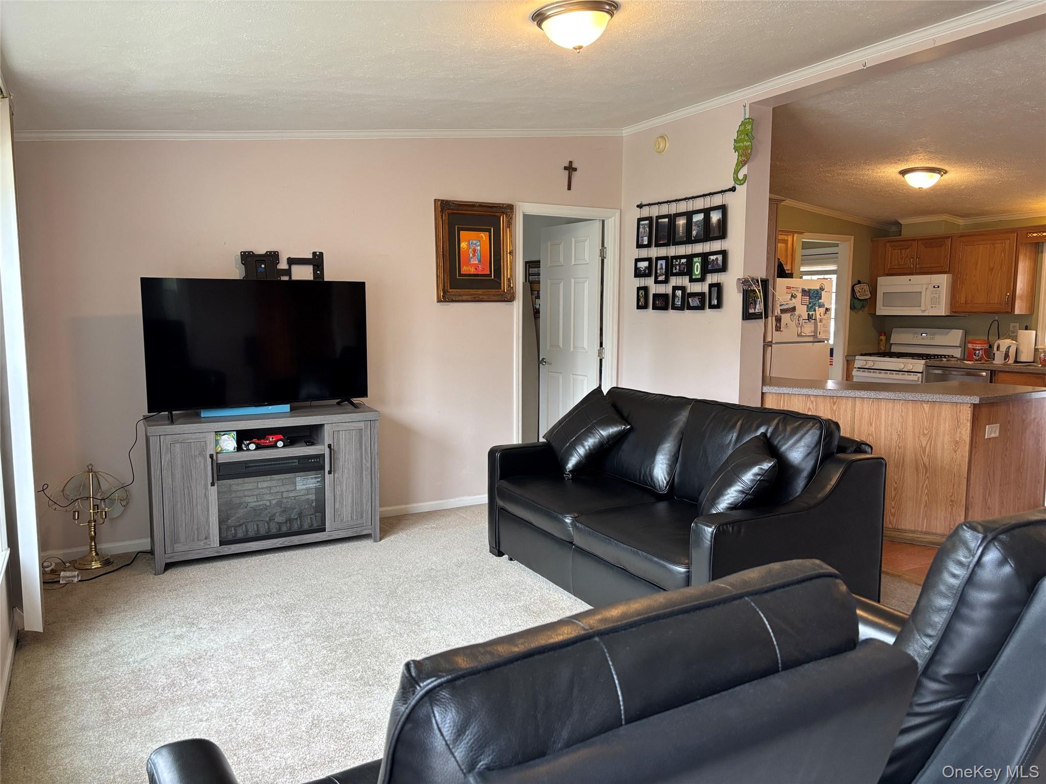 1661 Old Country Road, Unit 417 Riverhead, NY 11901 - Photo 9 of 20 a living room with furniture and a flat screen tv