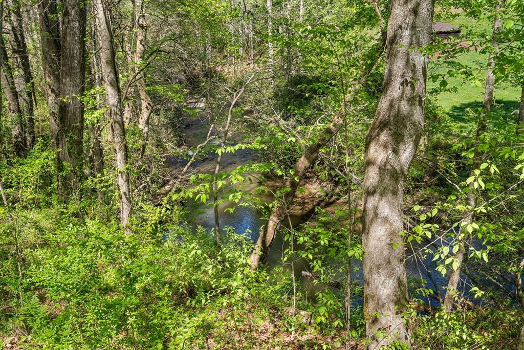 377 Ed Graves Road Murphy, NC 28906 - Photo 36 of 37