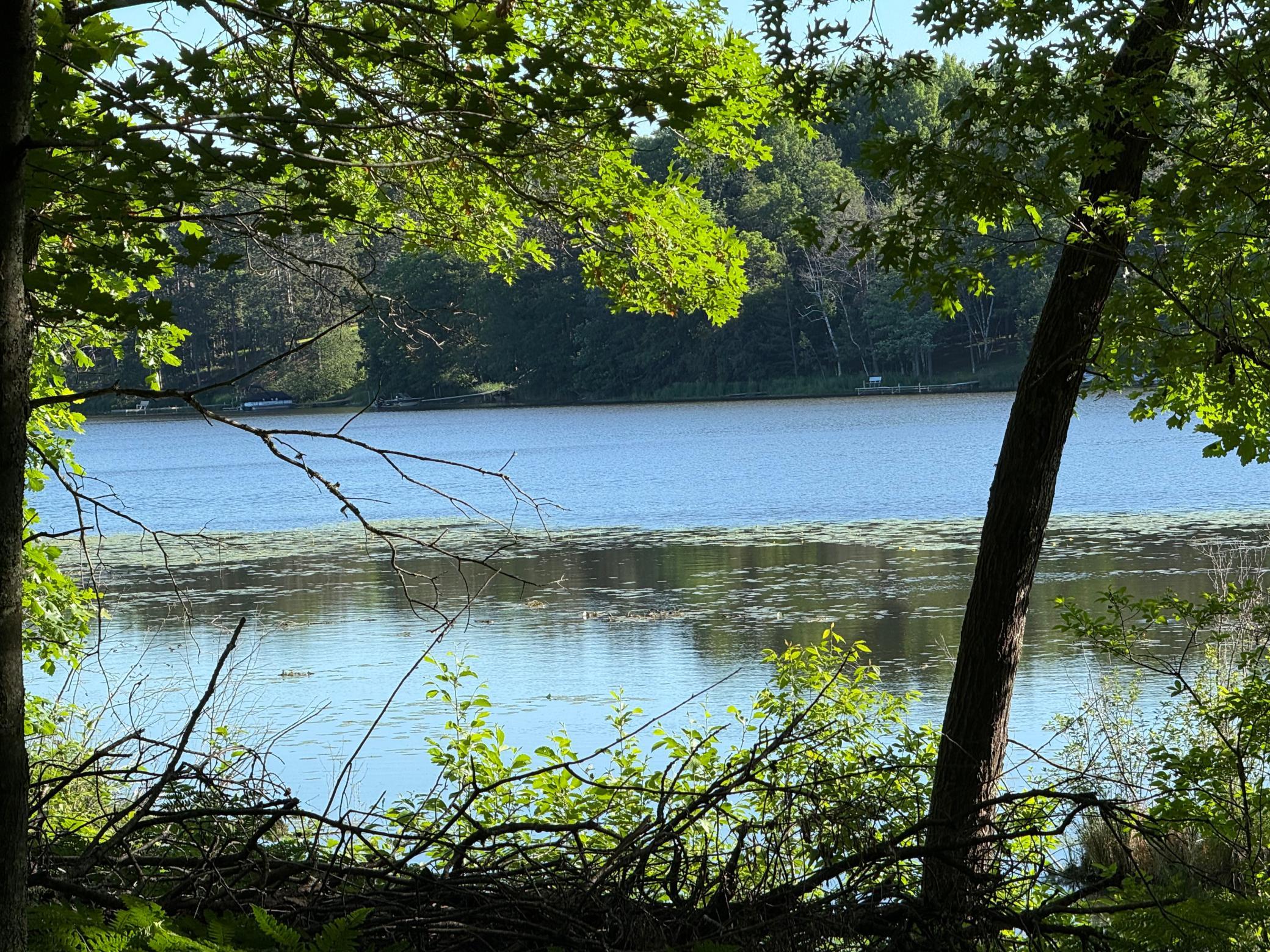Tbd Sathre Lane Shell Lake, WI 54871 - Photo 17 of 34