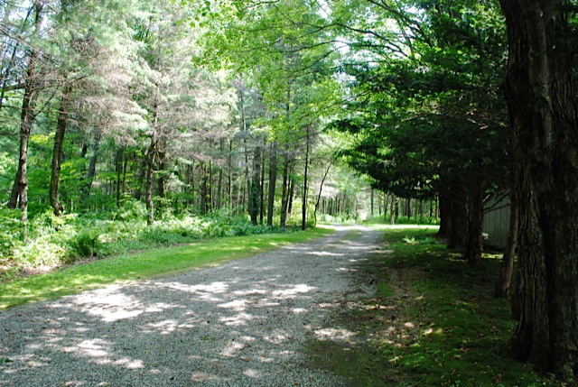 12 Old Tree Farm Road Stockbridge, MA 01266 - Photo 17 of 18 a view of a tree in a yard