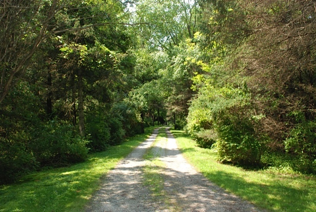 12 Old Tree Farm Road Stockbridge, MA 01266 - Photo 18 of 18 a view of yard with green space