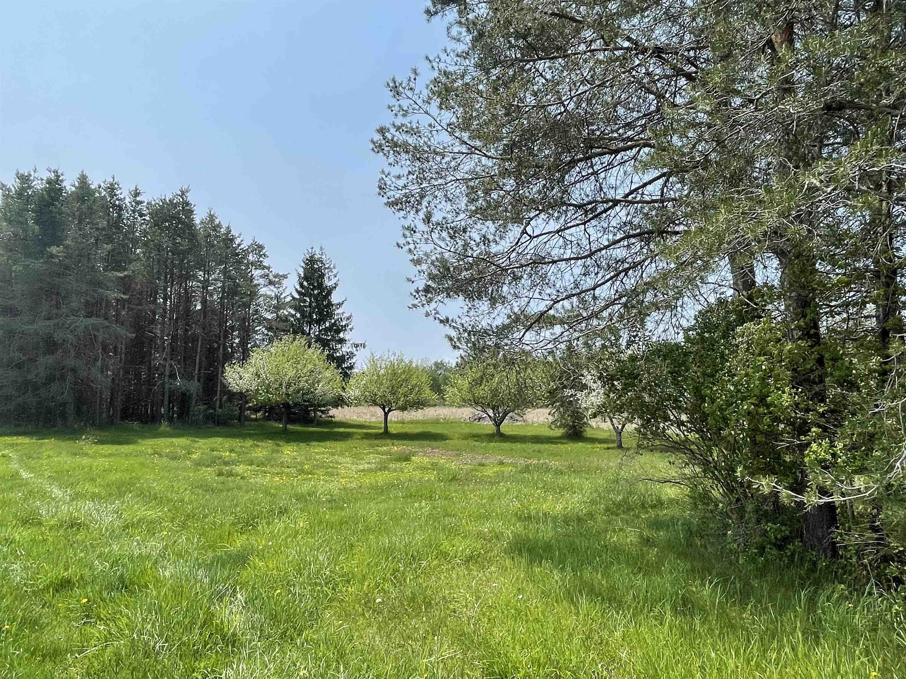 4265 Townline Road Standish, MI 48658 - Photo 55 of 73