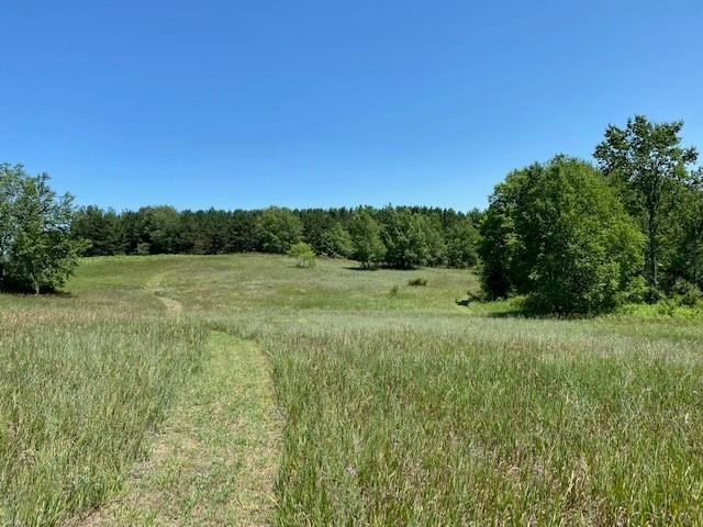 5254 Miller Road Buckley, MI 49620 - Photo 70 of 79 1890710-69.JPG