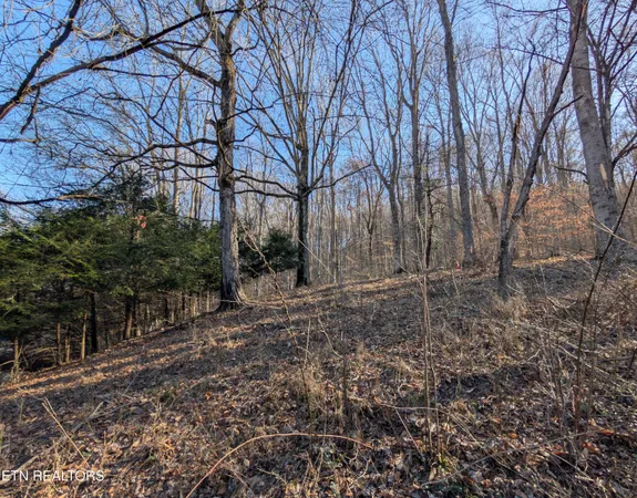 $106,000 | 175 John Partin Road, Pineville, KY 40977