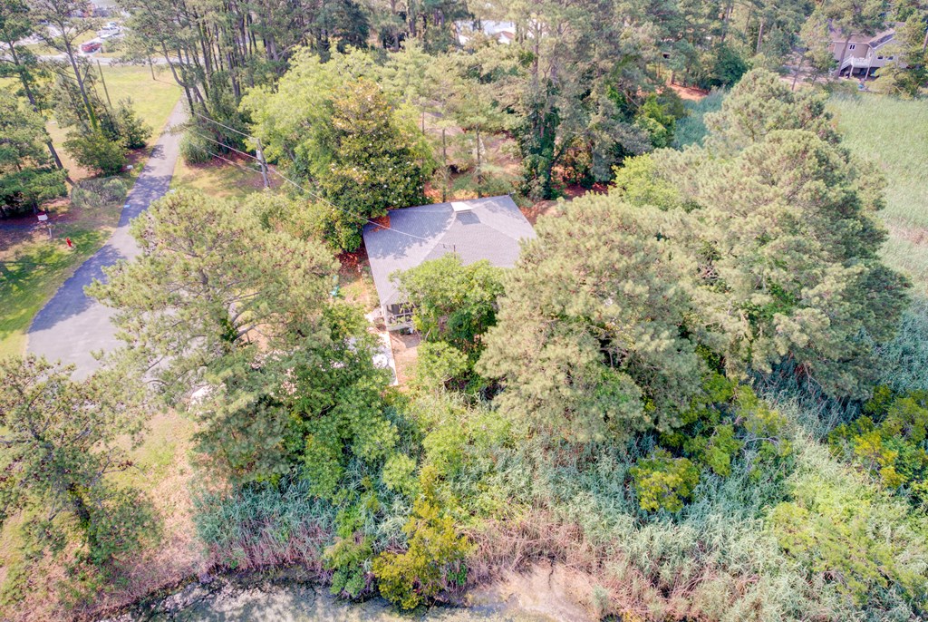 5290 Lakeview Road Chincoteague Island, VA 23336 - Photo 43 of 54