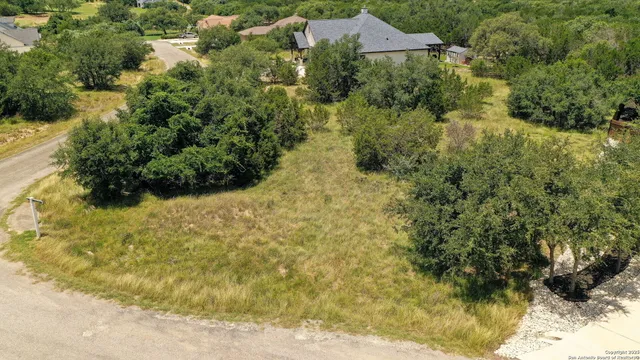 a view of a yard with plants
