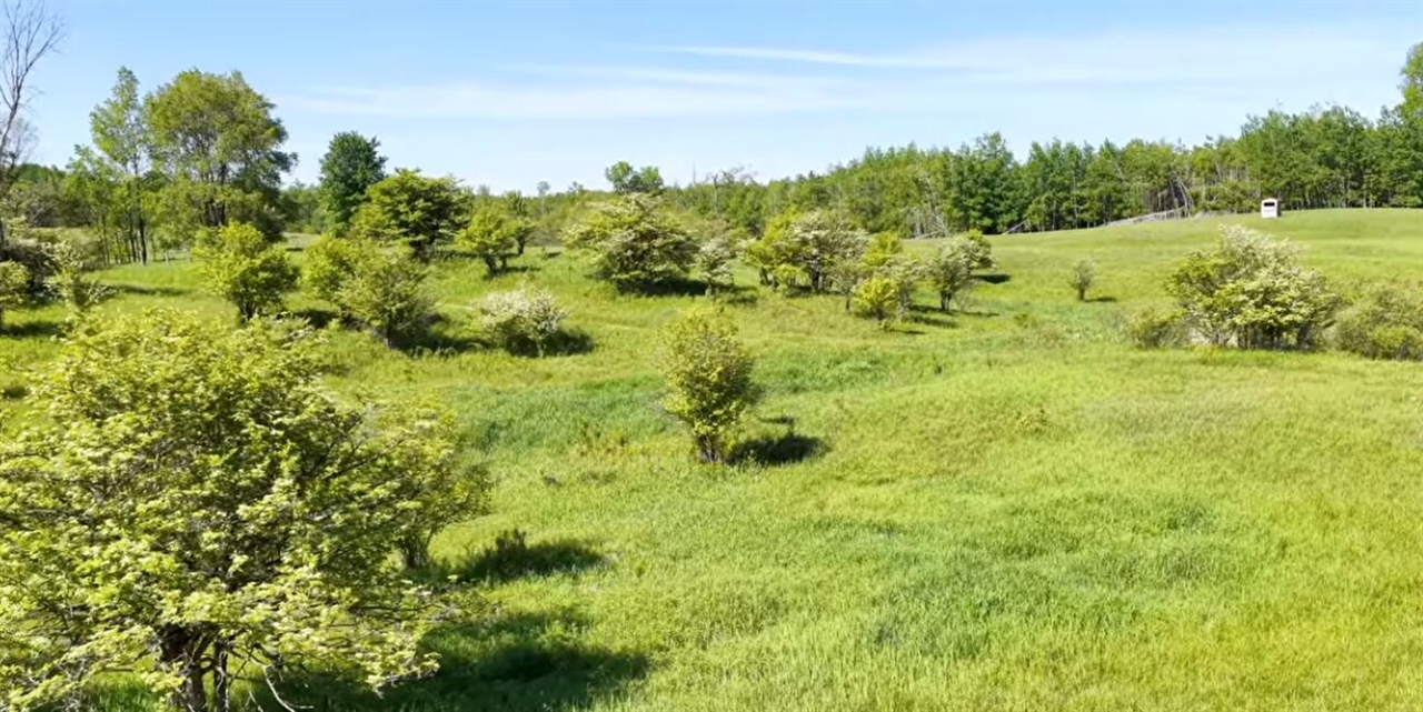 0 20 20 Mile Road Marion, MI 49665 - Photo 16 of 28