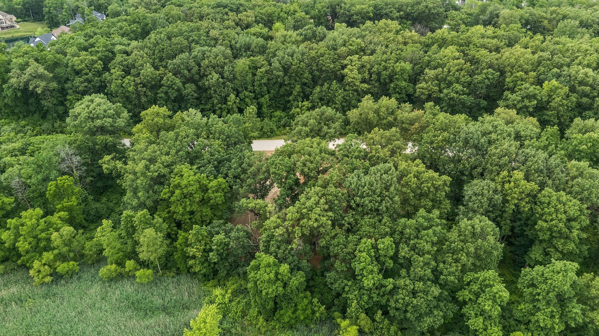 753 Verdano Terrace Crown Point, IN 46307 - Photo 9 of 13 2048x1152