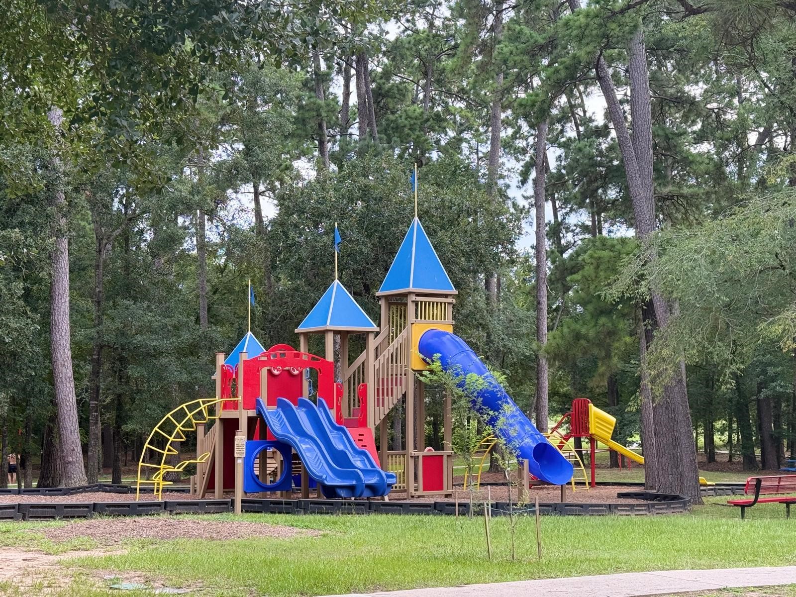 20023 Venetto Street Cir Spring Spring, TX 77388 - Photo 23 of 28 a view of a park with large trees and plants