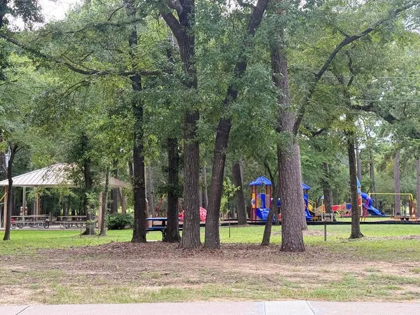 a view of park with tall trees