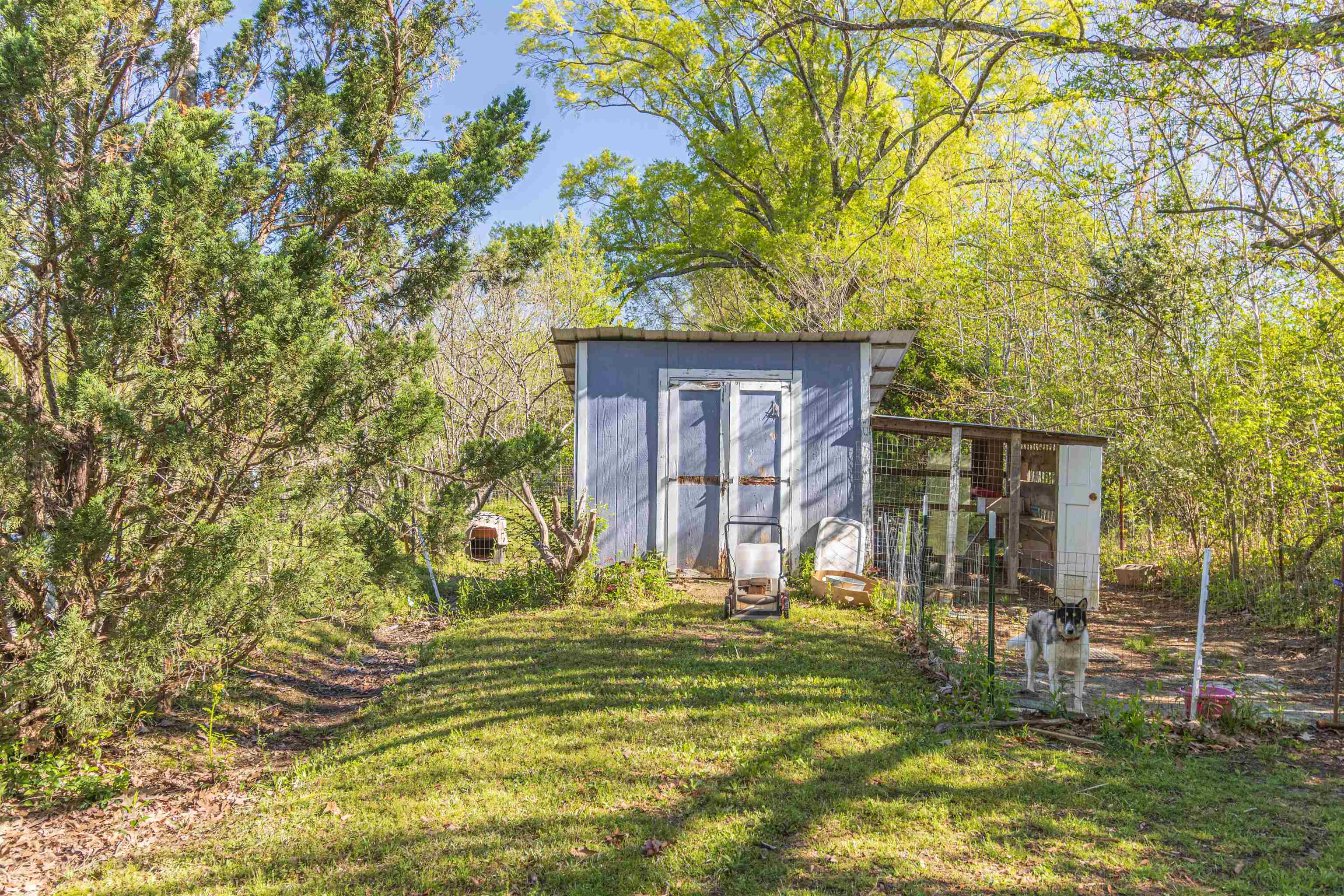 248 Mayflower Road Ramer, TN 38367 - Photo 29 of 31 a view of a yard in front of house