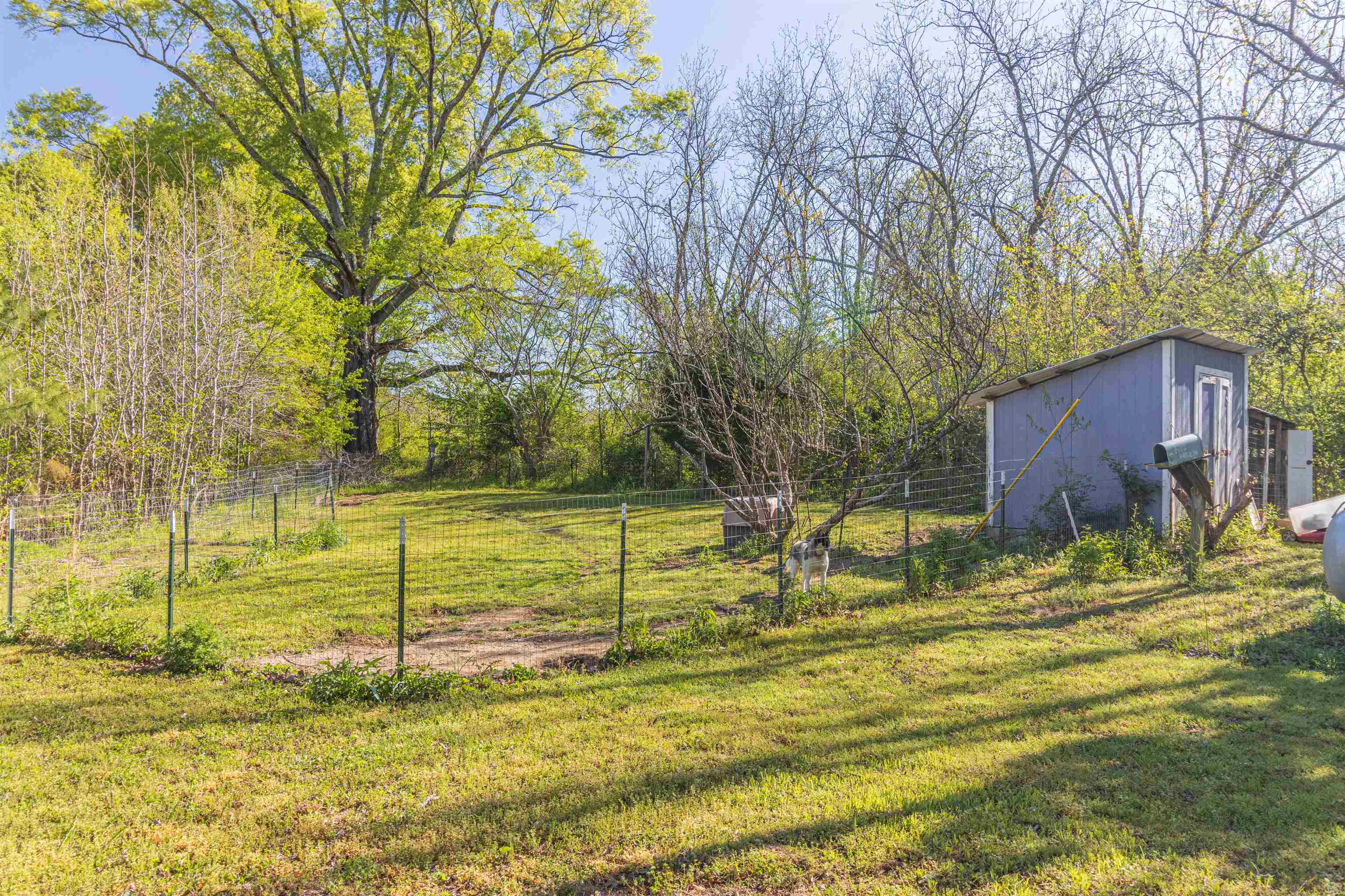248 Mayflower Road Ramer, TN 38367 - Photo 30 of 31 a view of swimming pool with a backyard