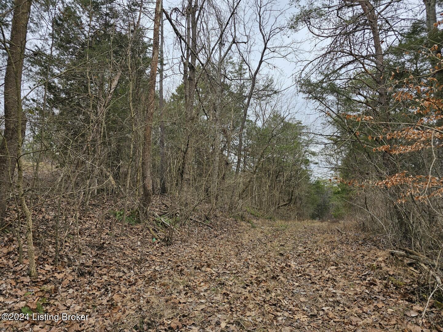 3 Nancy Priddy Road Upton, KY 42784 - Photo 12 of 21 20240209_133052 (Large)