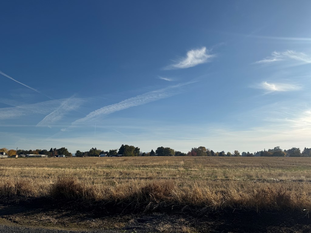 Nka Burrell Avenue Lewiston, ID 83501 - Photo 27 of 33