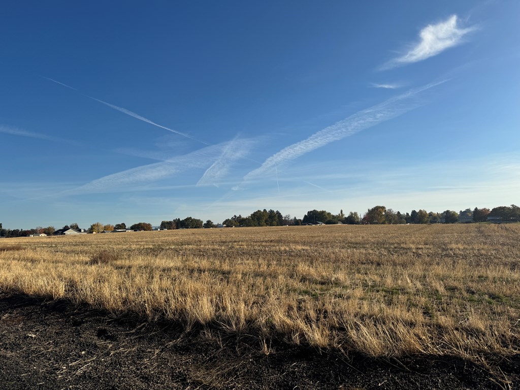 Nka Burrell Avenue Lewiston, ID 83501 - Photo 30 of 33
