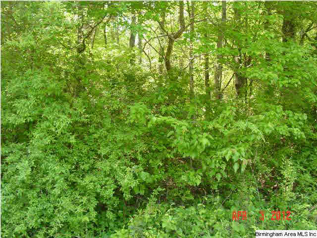Mcintosh Road, Unit 4 Oxford, AL 36203 - Photo 5 of 24 Gallery Image 5