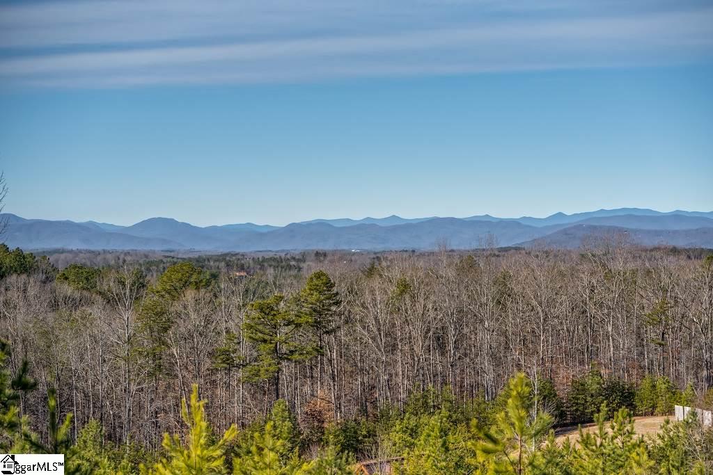 128 Talia Drive Rutherfordton, NC 28139 - Photo 2 of 19 Gallery Image 2