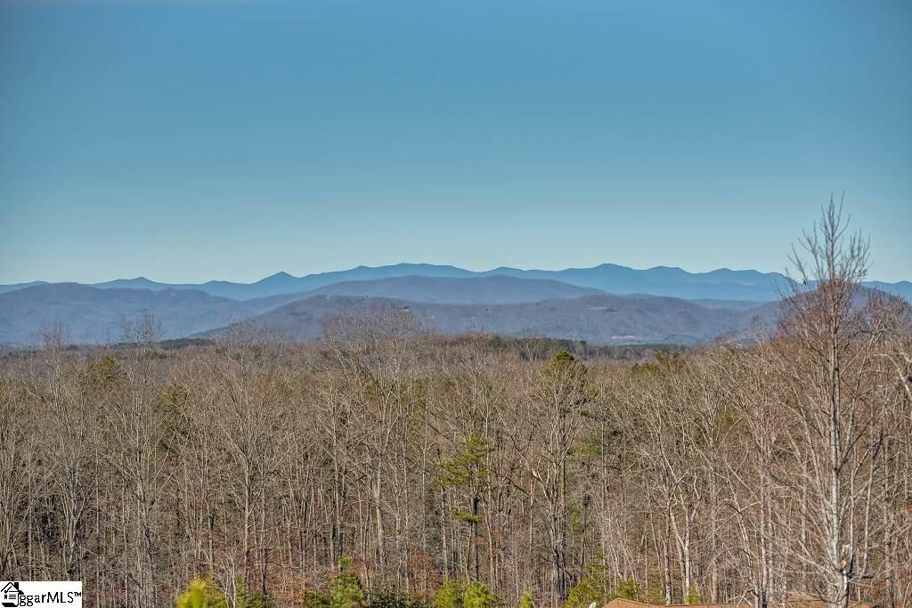 128 Talia Drive Rutherfordton, NC 28139 - Photo 3 of 19 Gallery Image 3