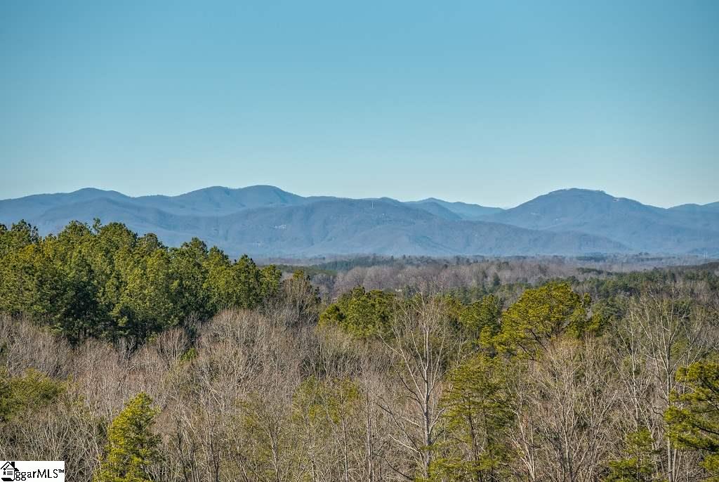 128 Talia Drive Rutherfordton, NC 28139 - Photo 4 of 19 Gallery Image 4