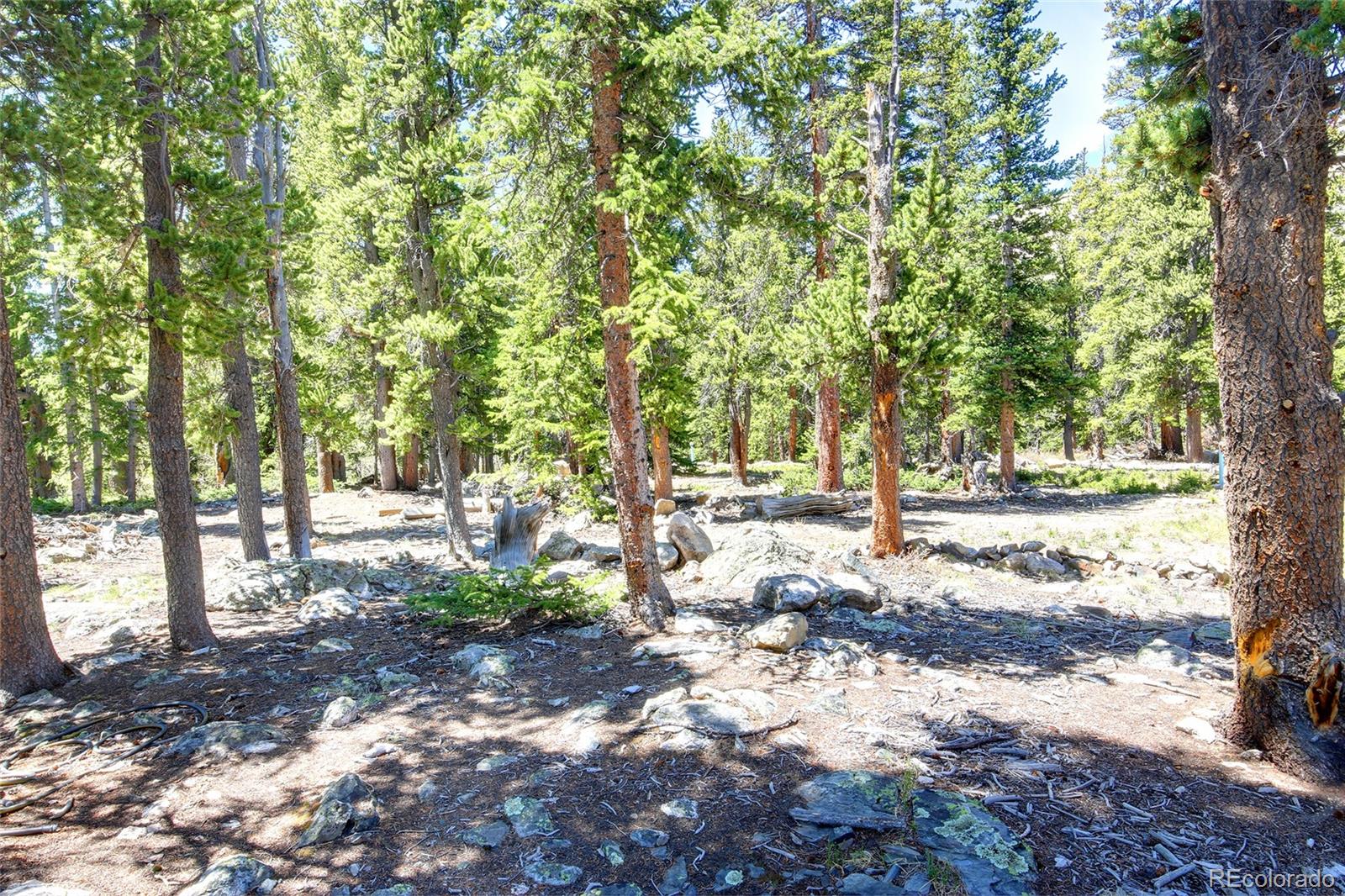 372 Ansley Road Alma, CO 80420 - Photo 2 of 5 Gallery Image 2