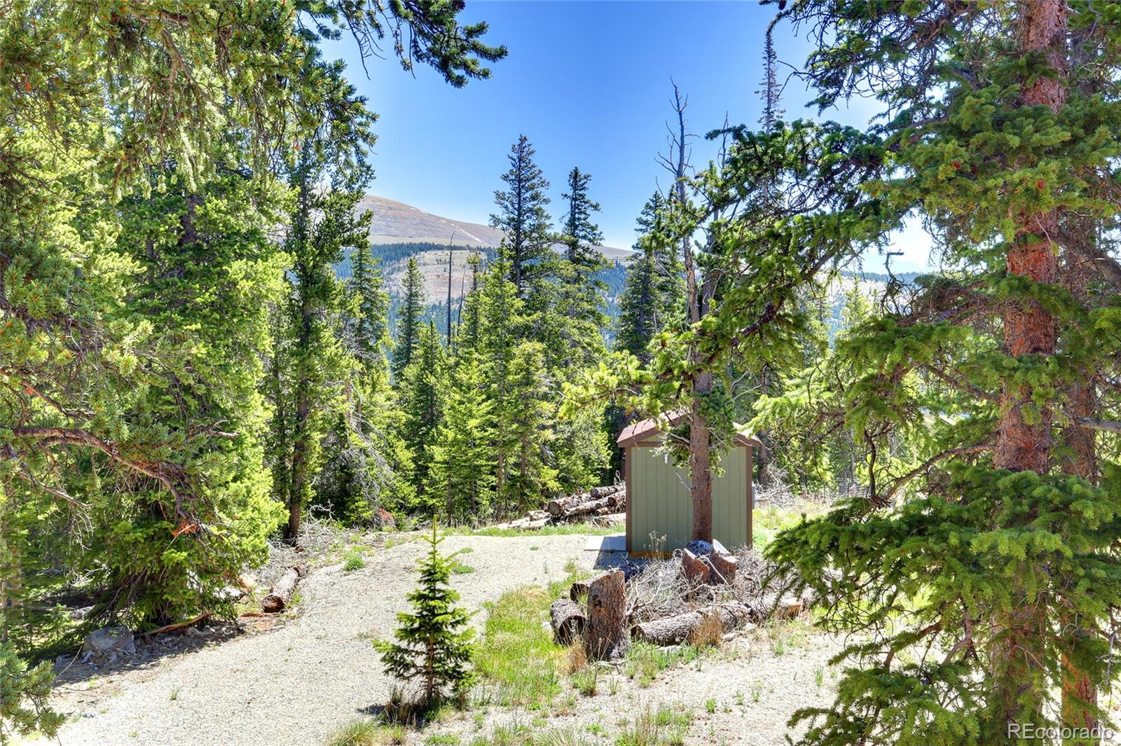 372 Ansley Road Alma, CO 80420 - Photo 4 of 5 Gallery Image 4