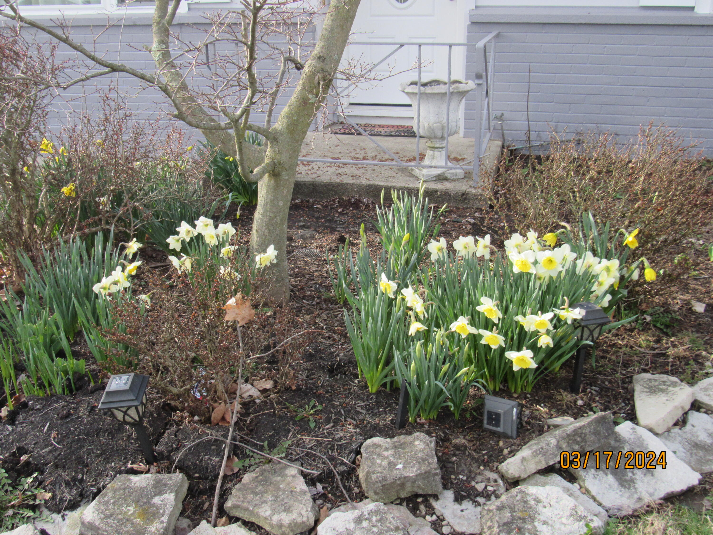 2132 West Mile Road Springfield, OH 45503 - Photo 3 of 60