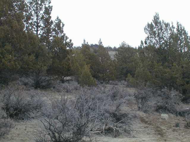Spring Drive Alturas, CA 96101 - Photo 5 of 5 Another View of the Property