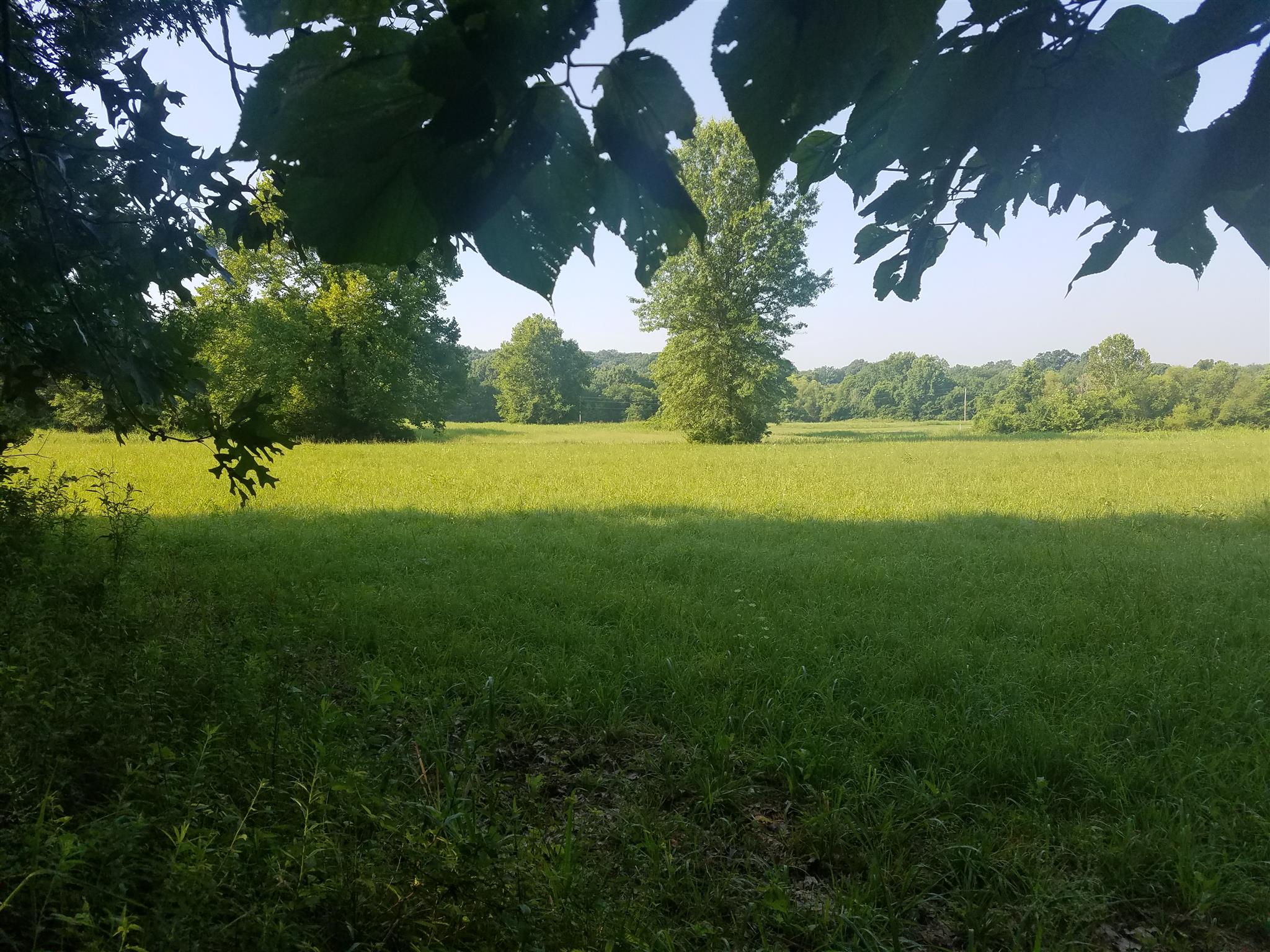 5 Cairo Bend Road Lebanon, TN 37087 - Photo 1 of 5