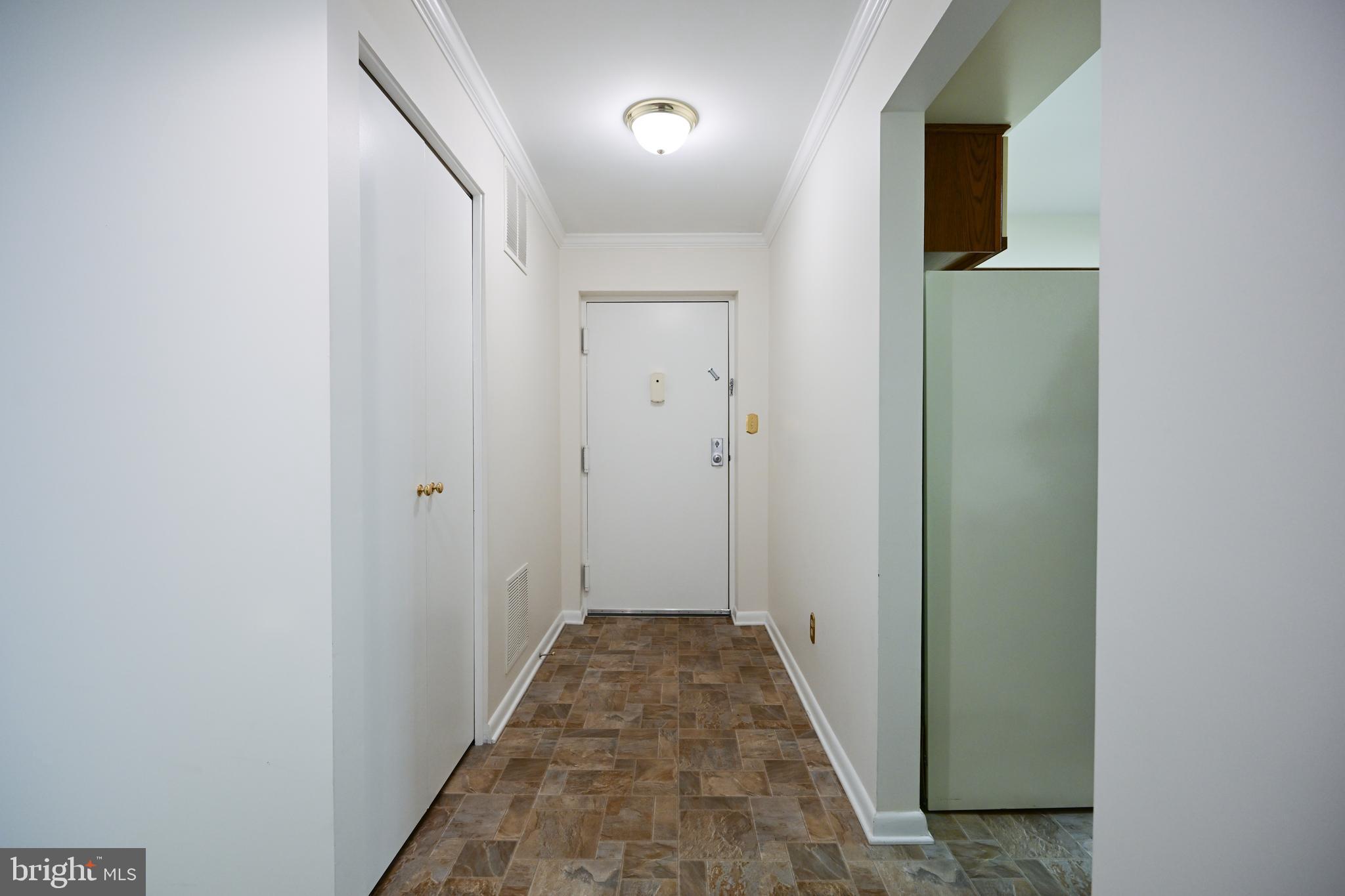 117 Castletown Road, Unit 301 Lutherville-Timonium, MD 21093 - Photo 3 of 23 entrance foyer
