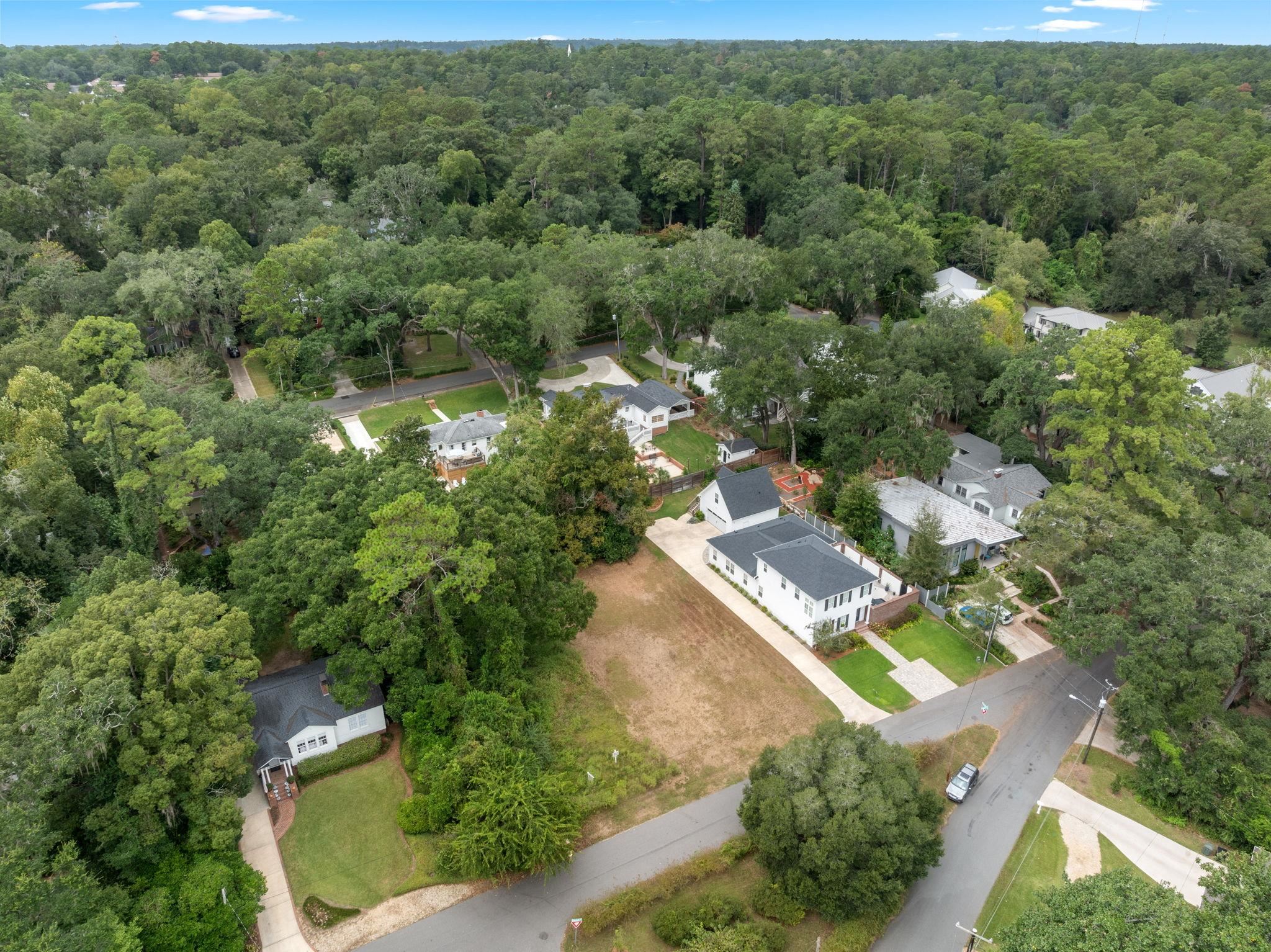 0 Laurel Street Tallahassee, FL 32303 - Photo 7 of 12