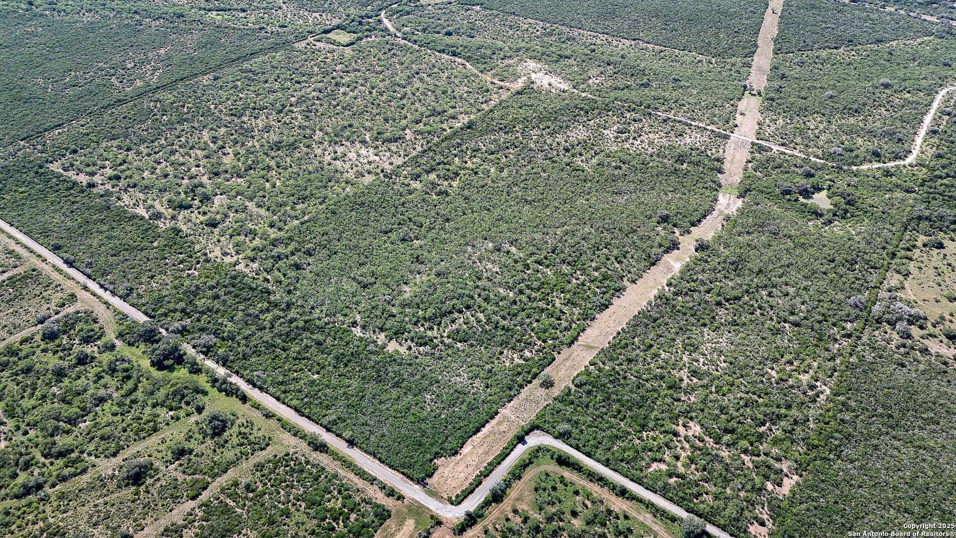 0 County Line Road, Unit 120 Beeville, TX 78102 - Photo 14 of 44 a view of a yard with a plant