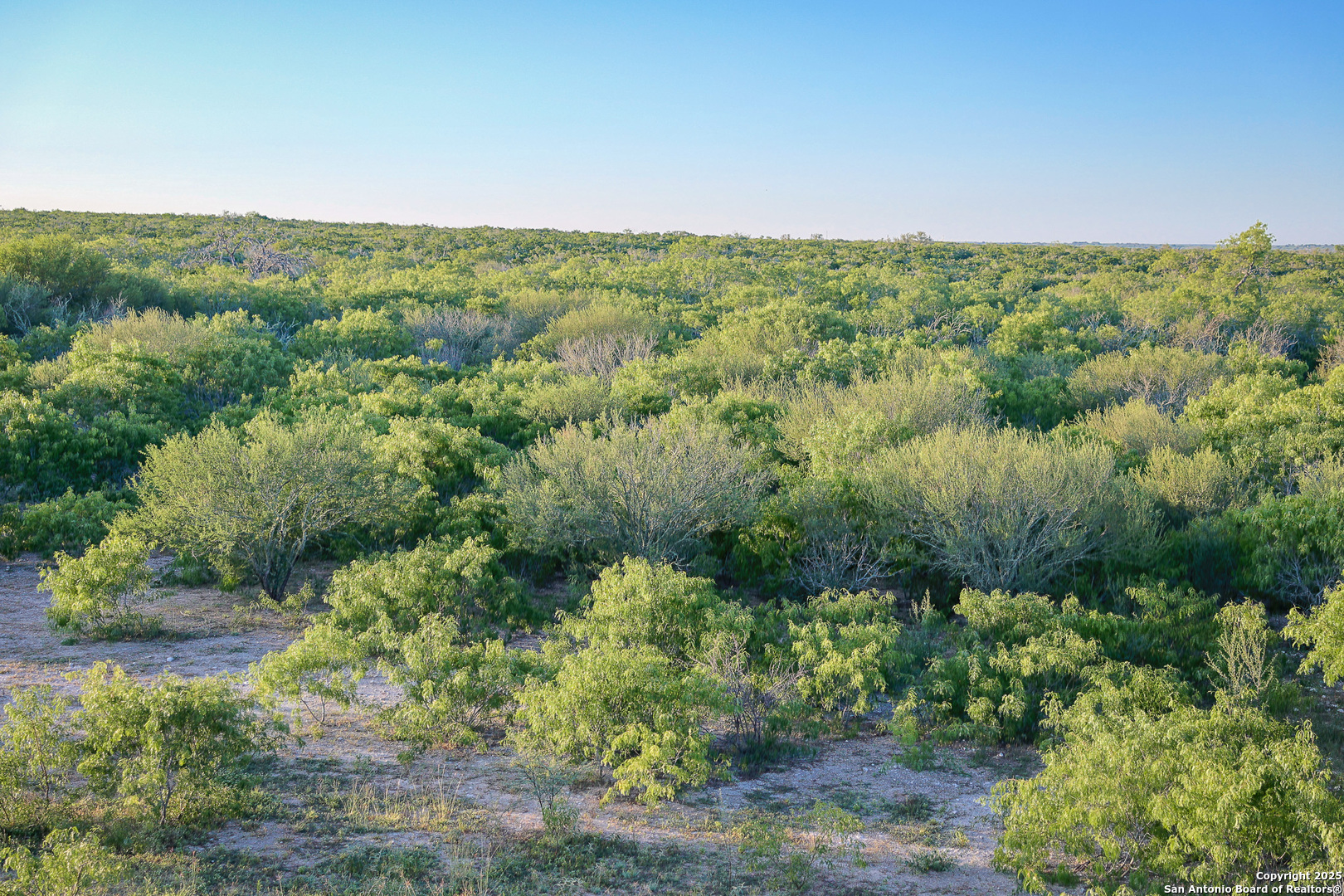 0 County Line Road, Unit 120 Beeville, TX 78102 - Photo 17 of 44 a view of a green field with lots of bushes