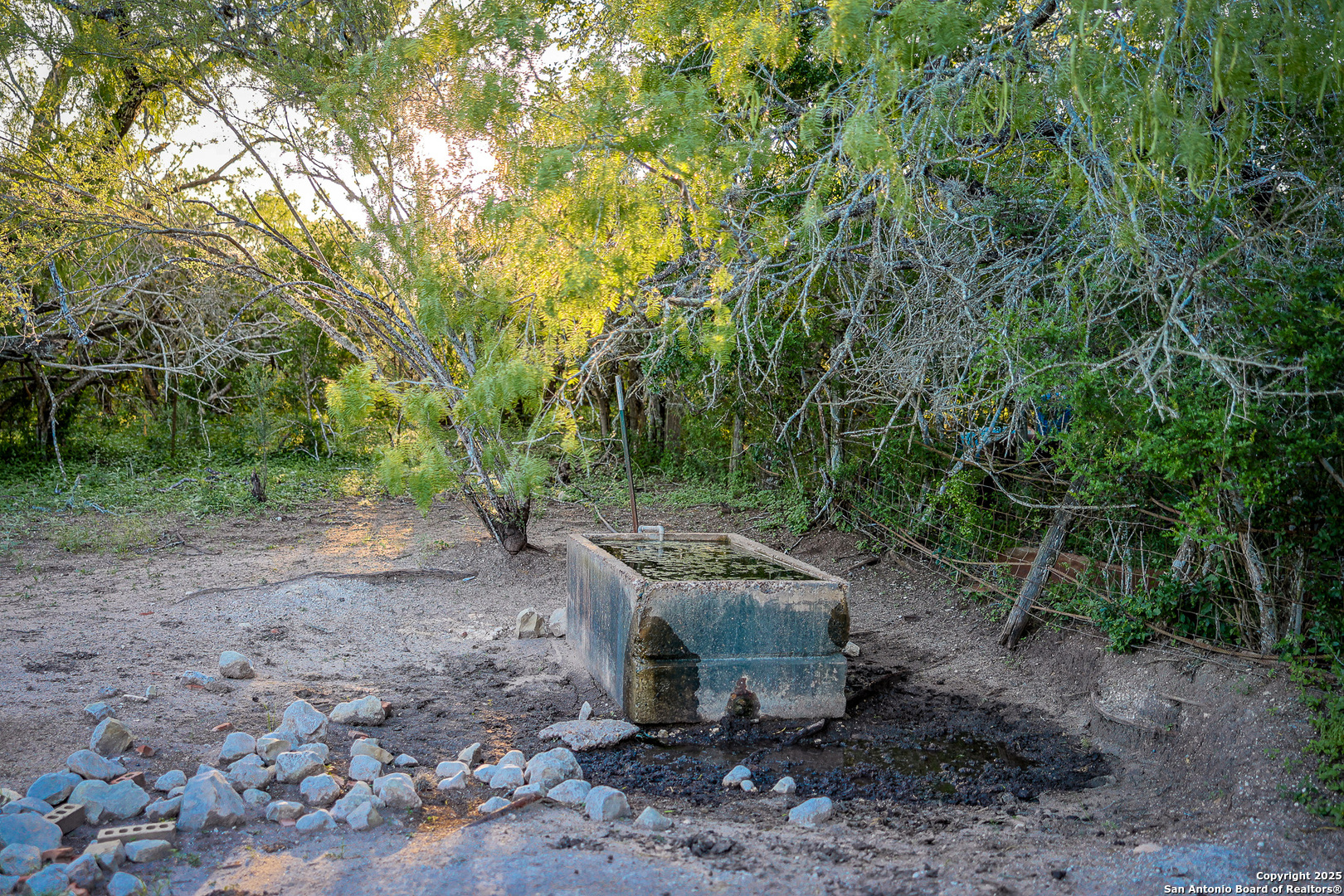 0 County Line Road, Unit 120 Beeville, TX 78102 - Photo 20 of 44 a view of a yard with plants and trees