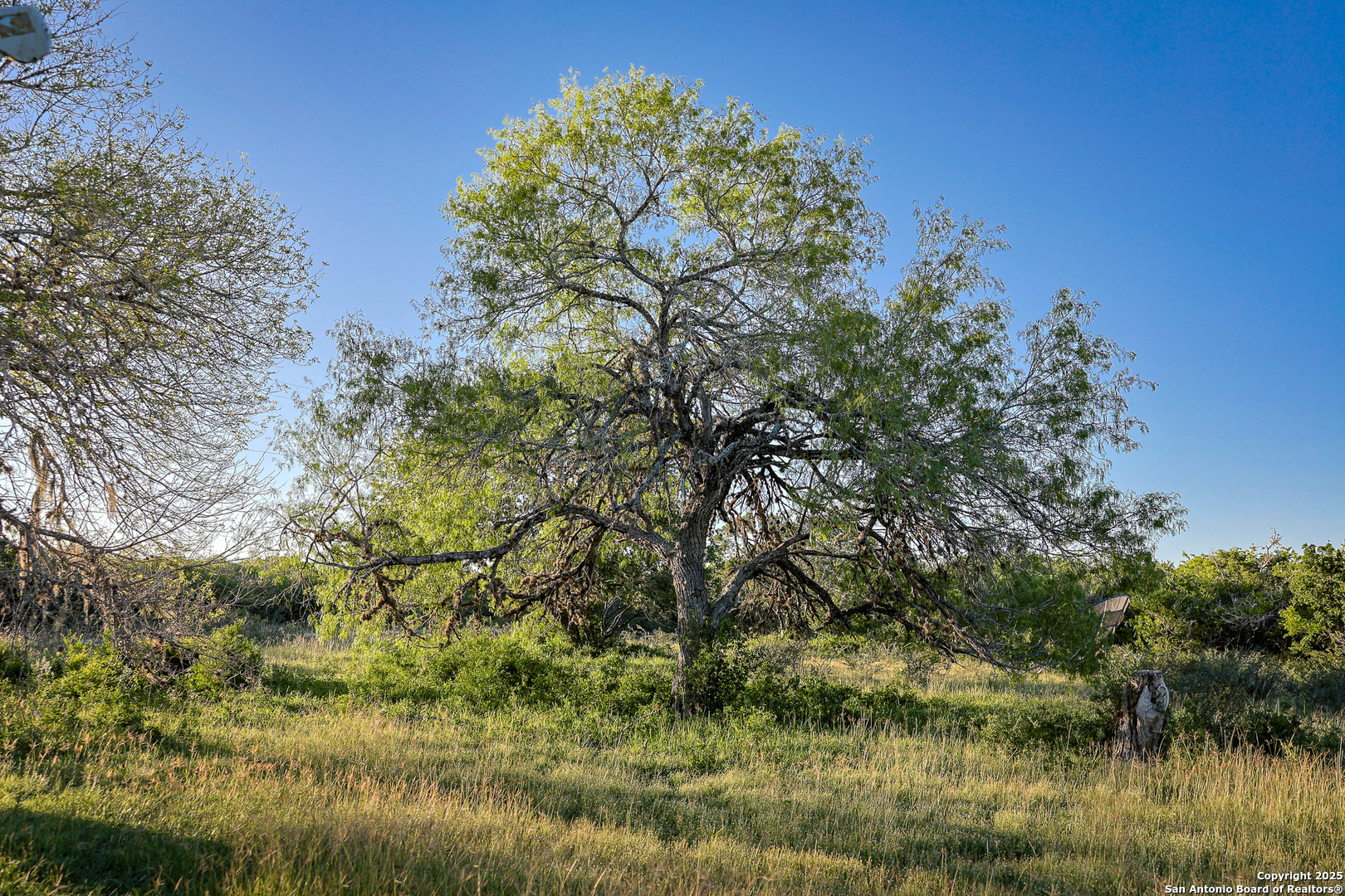 0 County Line Road, Unit 120 Beeville, TX 78102 - Photo 23 of 44 a view of a lake