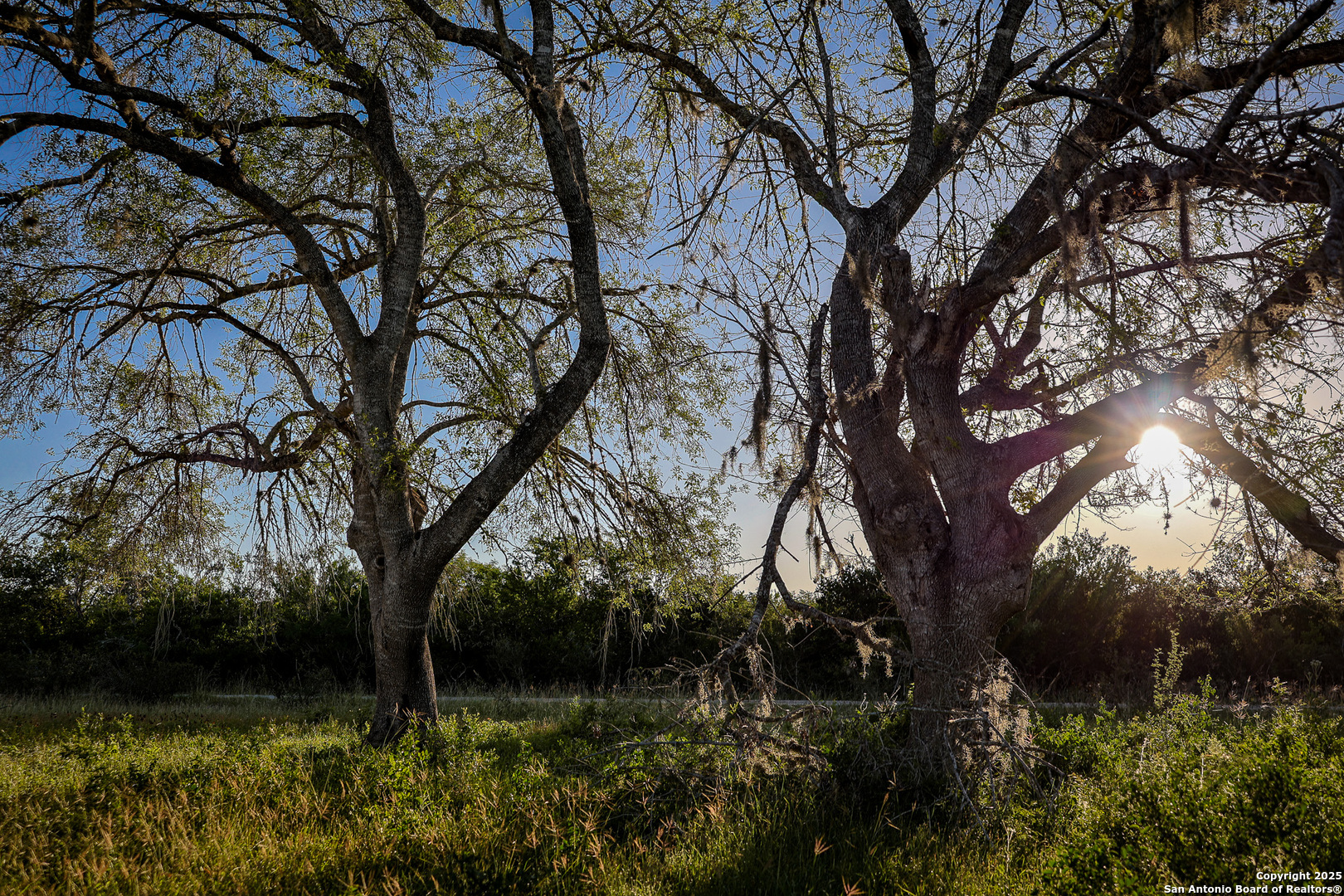 0 County Line Road, Unit 120 Beeville, TX 78102 - Photo 24 of 44 a backyard of a house with lots of green space