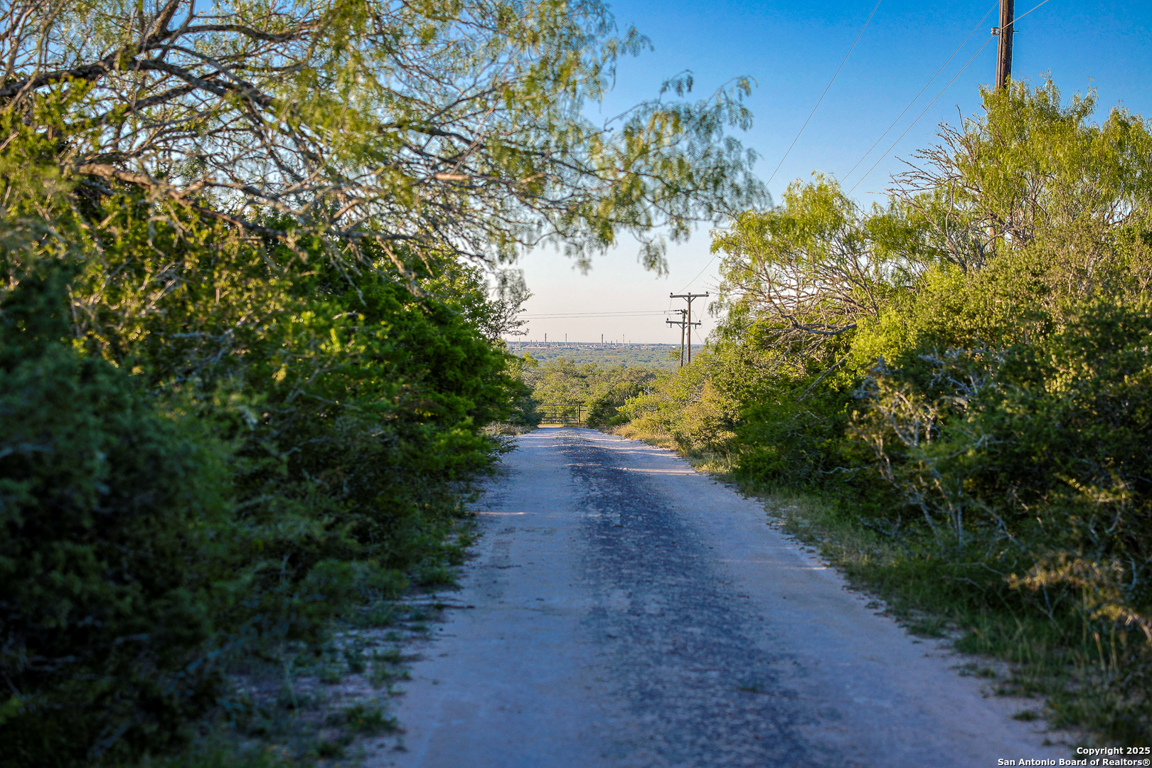 0 County Line Road, Unit 120 Beeville, TX 78102 - Photo 26 of 44 a view of a yard with plants and a large tree