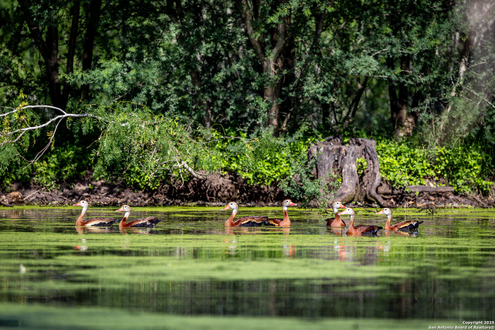 0 County Line Road, Unit 120 Beeville, TX 78102 - Photo 3 of 44