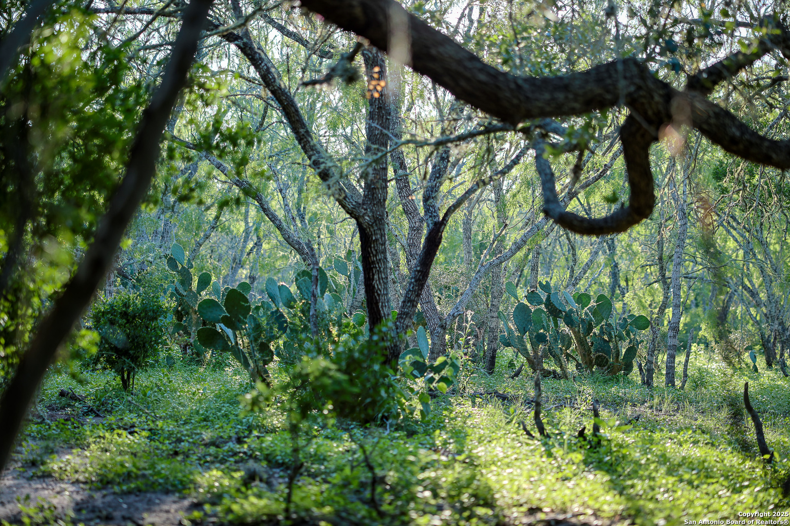 0 County Line Road, Unit 120 Beeville, TX 78102 - Photo 36 of 44 a view of an outdoor space