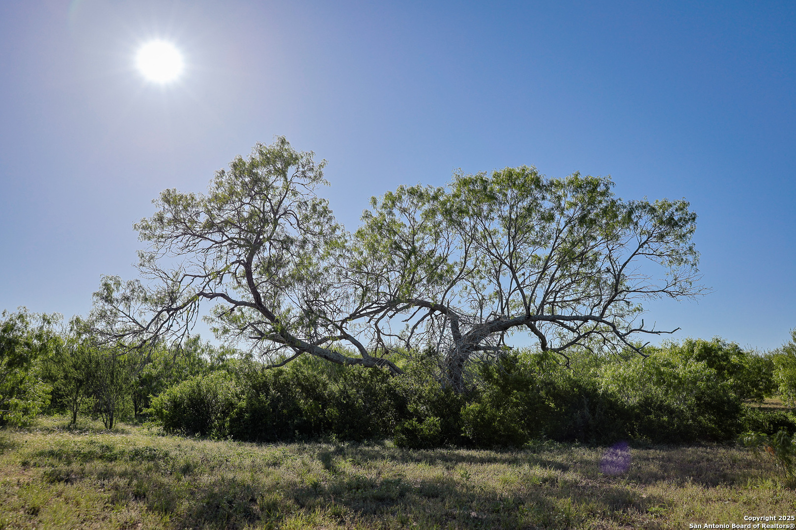 0 County Line Road, Unit 120 Beeville, TX 78102 - Photo 40 of 44 a backyard of a house with lots of green space